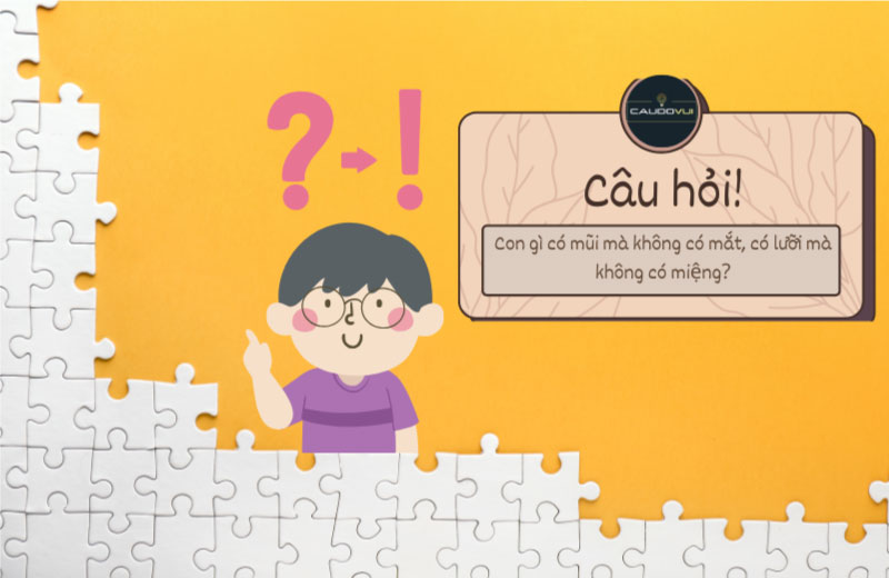 những câu đố hack não ngắn