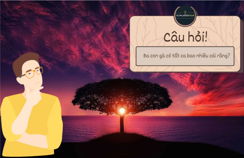 Những câu đố vui hay nhất chương trình Nhanh Như Chớp