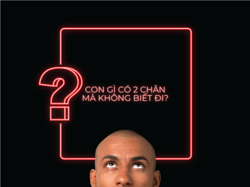 Câu đố: Con gì có 2 chân mà không biết đi?