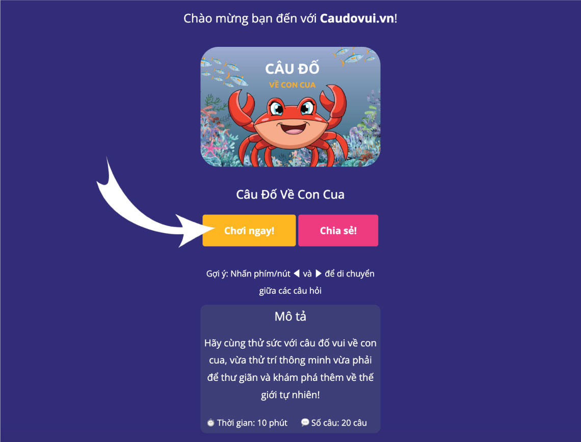 huong dan choi cau do vui 3