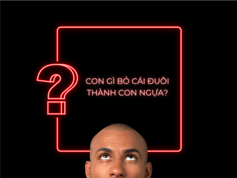 Câu đố: Con gì bỏ cái đuôi thành con ngựa?