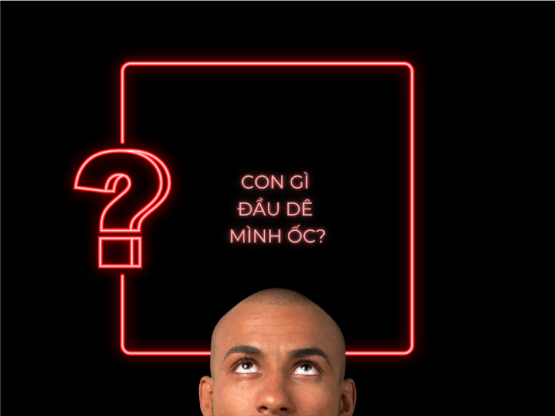 Câu đố: Con gì đầu dê mình ốc?