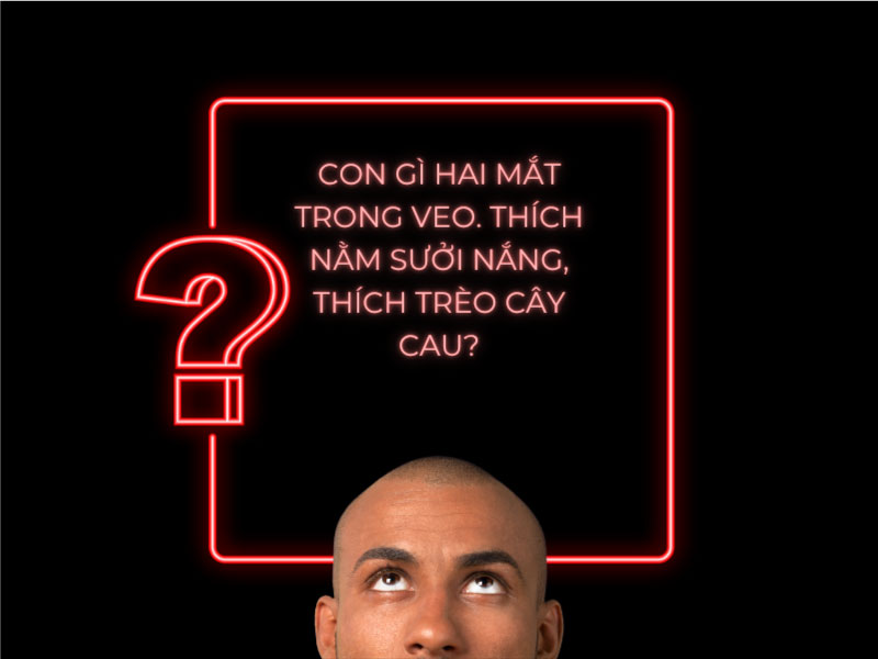 Câu đố: Con gì hai mắt trong veo thích nằm sưởng nắng thích trèo cây cau?