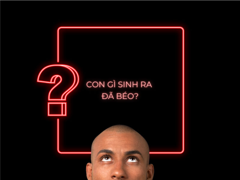 Câu đố: Con gì sinh ra đã béo?