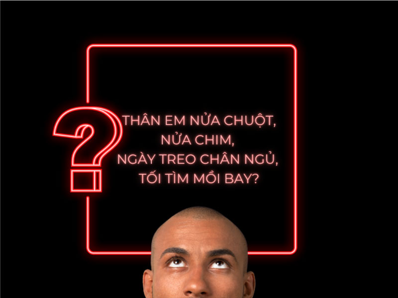 Câu Đố: Thân Em Nửa Chuột Nửa Chim Ngày Treo Chân Ngủ Tối Tìm Mồi Bay?