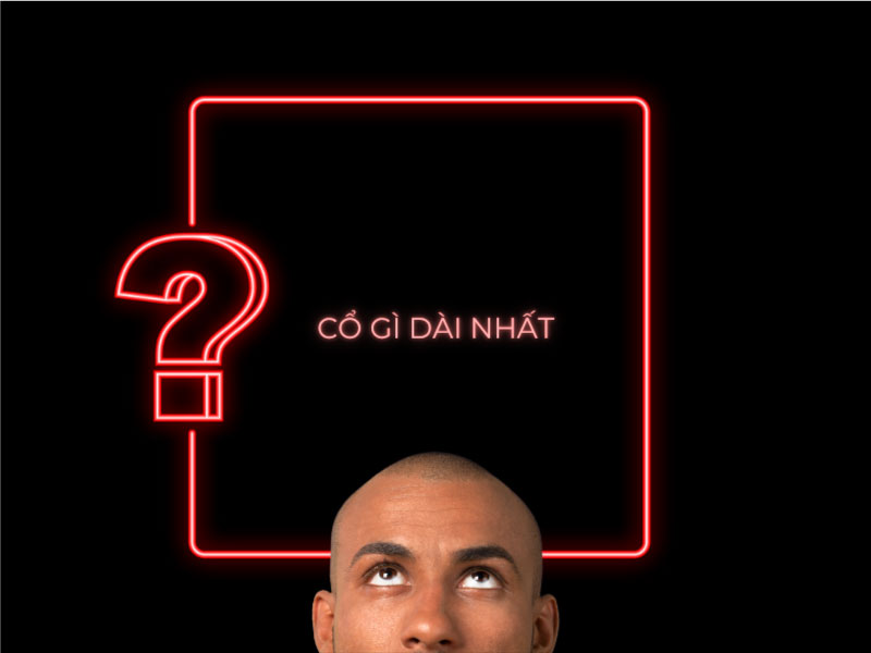 Câu đố: Cổ gì dài nhất?