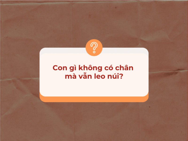 Câu đố: Con gì không có chân mà vẫn leo núi?