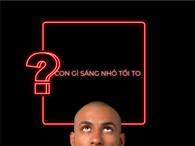 Câu đố: Con gì sáng nhỏ tối to?