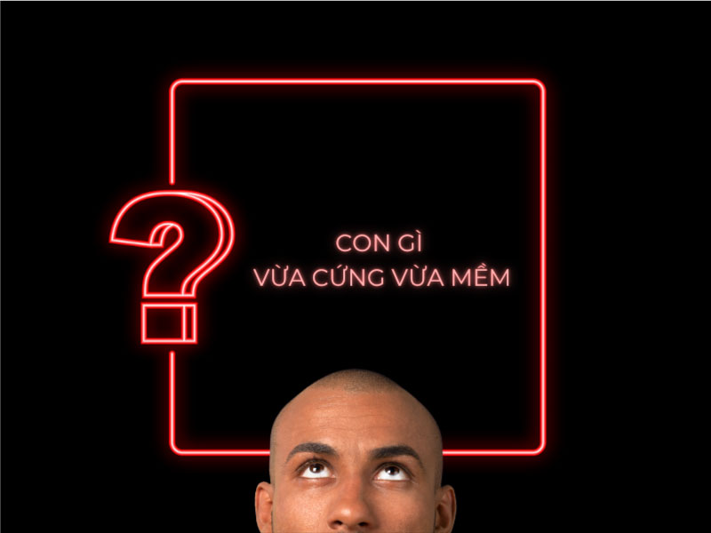 Câu đố: Con gì vừa cứng vừa mềm?