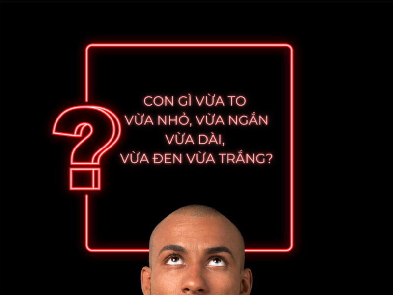 Câu đố: Con gì vừa to vừa nhỏ, vừa ngắn vừa dài, vừa đen vừa trắng?